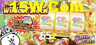 65z.com