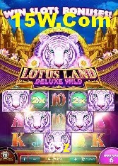 Casino VIP 65z