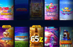 65z,65z.com